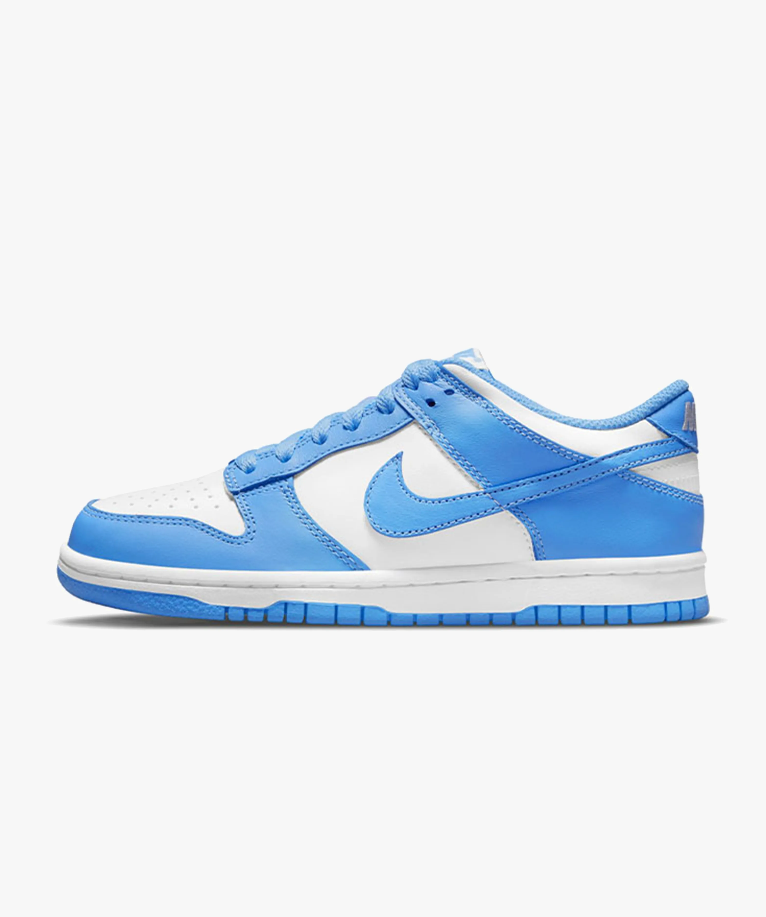 Asics Stability Control Shoes Nike Dunk Low 'UNC' (GS)