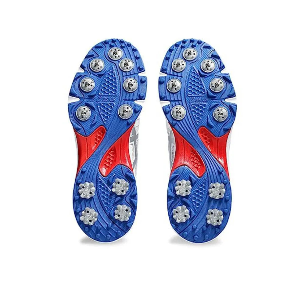 Table Tennis Asics Shoes ASICS Men's Gel-Gully 7 Cricket Shoe (White/Pure Silver)